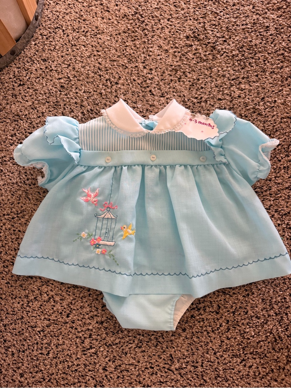 Vintage Blue Baby Dress with Embroidered Birdcage - Bloomers included